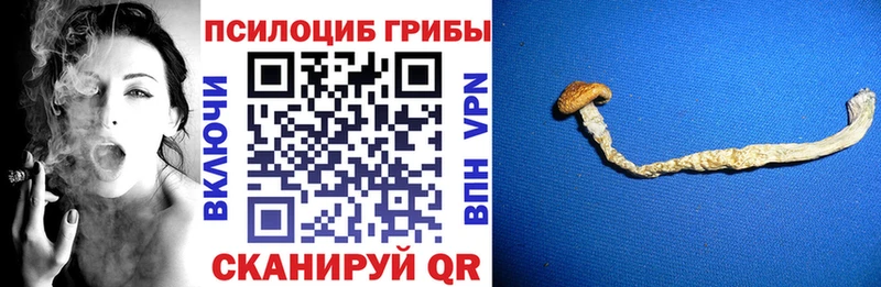 Галлюциногенные грибы MAGIC MUSHROOMS  Дмитров 