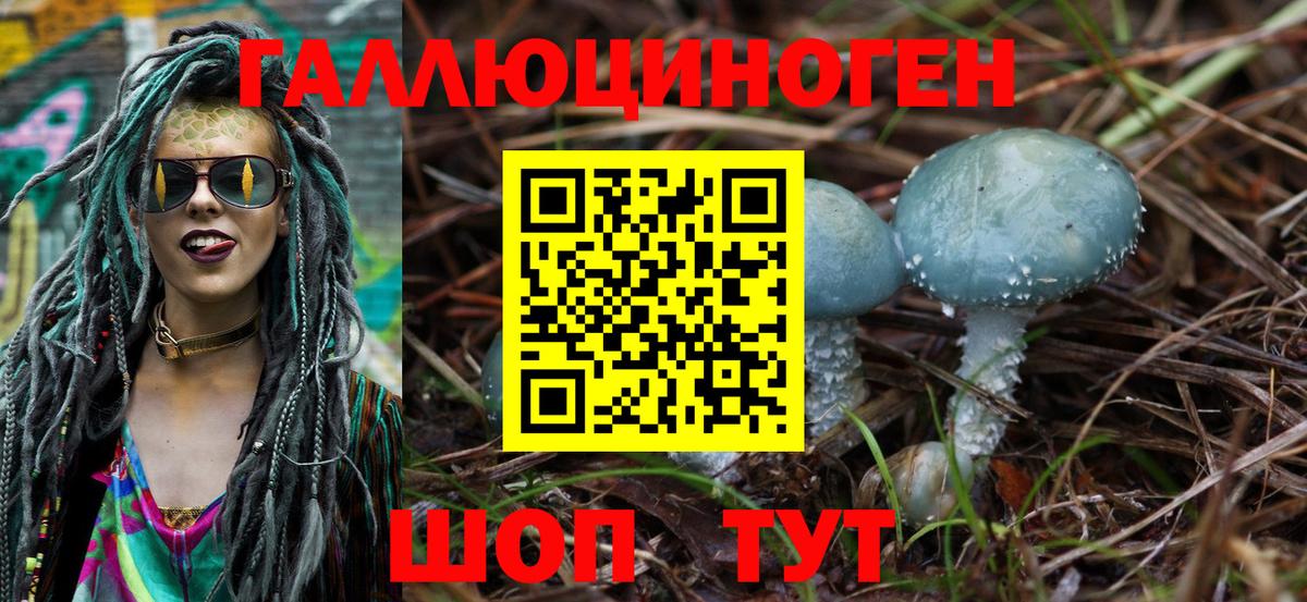 Галлюциногенные грибы MAGIC MUSHROOMS  Вход с VPN  Дмитров 