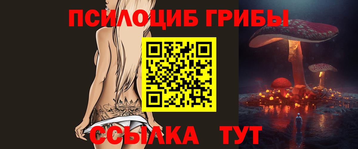 Галлюциногенные грибы Psilocybe Дмитров