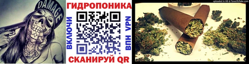 купить   Дмитров  OMG рабочий сайт  Бошки Шишки OG Kush 